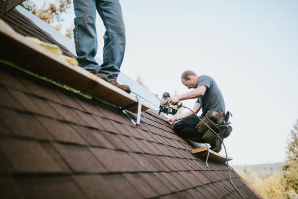 Best Metal Roofing Contractor  in Visalia, CA